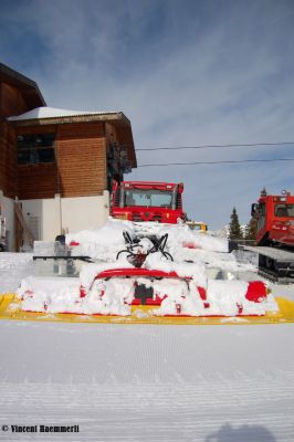 polar am flumserberg von hinten
(Flumserberg) Patrick Gassner
